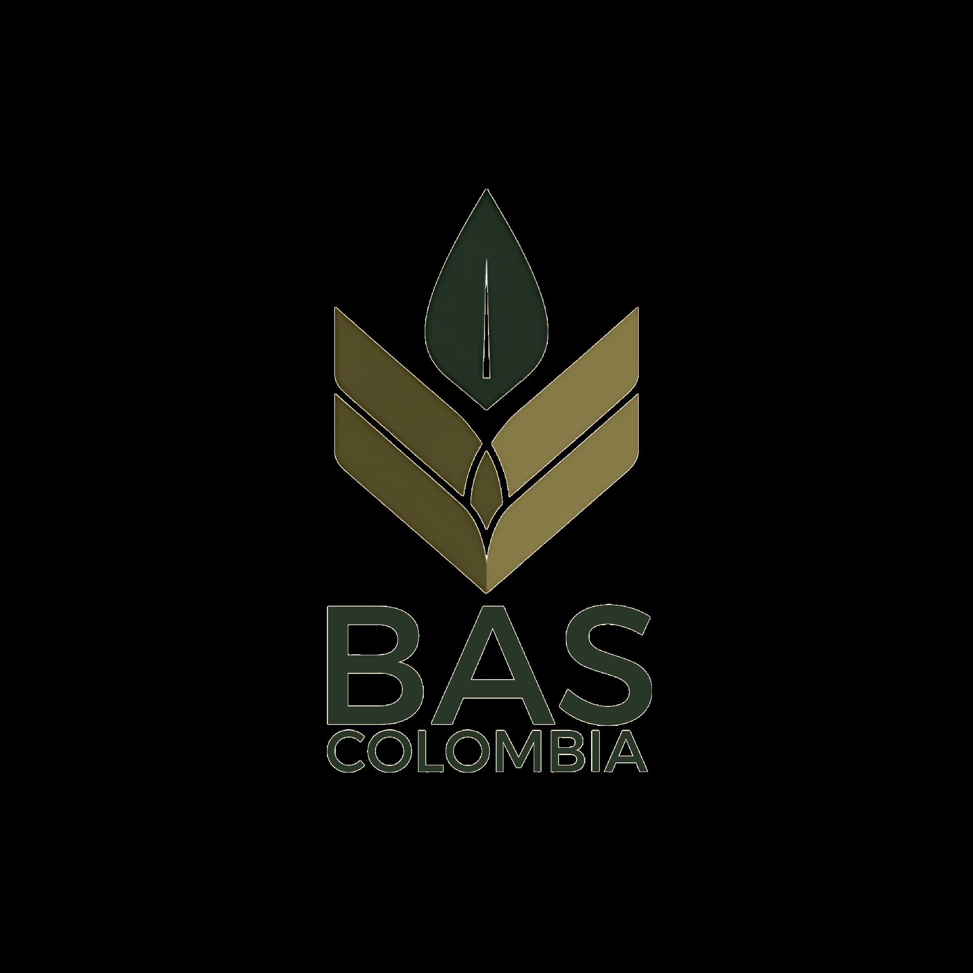 BAS COLOMBIA